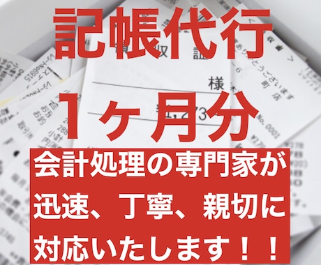 毎月の記帳代行&アドバイス承ります しっかりとした会計処理は経営には必須。継続的なご依頼もOK！ イメージ1