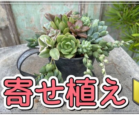 YouTube向けに動画編集いたします オールジャンル対応可能！希望に沿った動画を提供いたします！ イメージ1