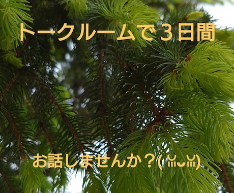 トークルームでのお悩みお聞きします ３日間トークルームでのお話しませんか？ イメージ2