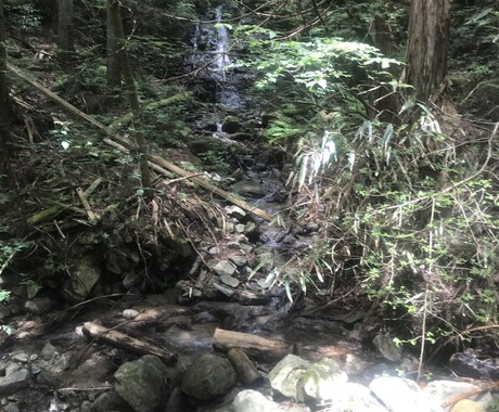 主に恋愛を中心に占います どんなことでもお気軽にご相談ください。 イメージ1
