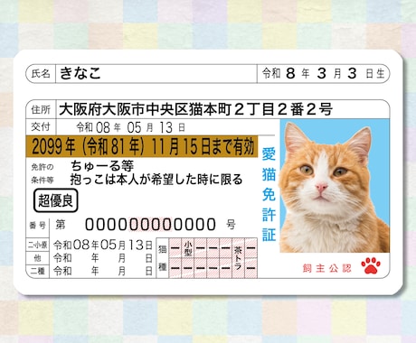 本物そっくり！ペットのオリジナル免許証を作ります 嬉しい2枚セット！丈夫なプラスチック製オリジナルペット免許証 イメージ2