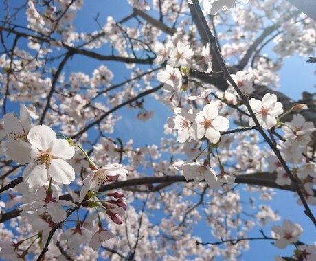 数学,理科,社会などの問題を解きます 問題がわからない！解き方がわからない！などと困ってるあなたへ イメージ1