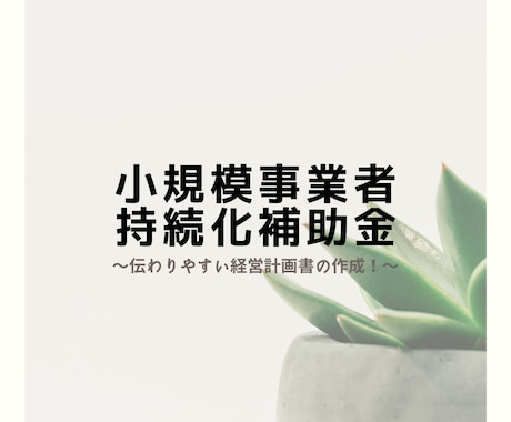 中小企業診断士が持続化補助金の計画書を作成します 企業の発展を支援する補助金！経営計画書を作ります！ イメージ1