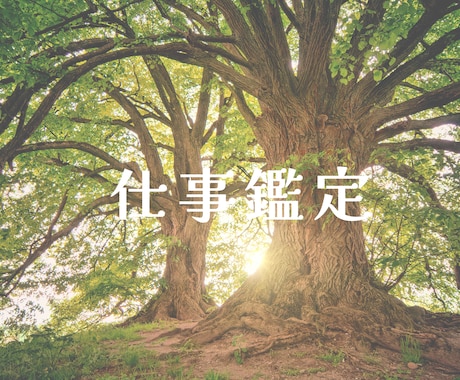 美しいPDF鑑定書♡数秘術で鑑定します 適職☆お仕事鑑定、うまくいく方法を24時間以内にお伝えします イメージ1