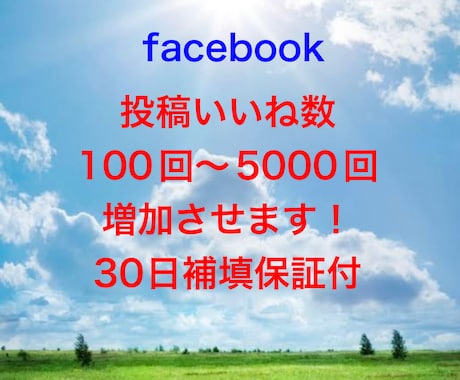 facebookの投稿いいね100回増やします オプション購入でもっとお得に！30日保証付！ イメージ1