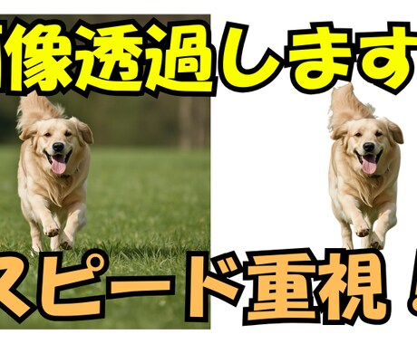 画像を透過いたします スピード重視！即日対応いたします。 イメージ1