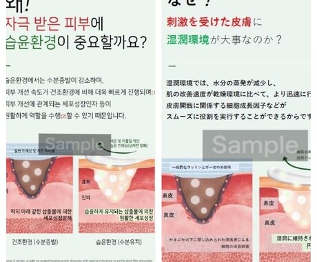 日本在住韓国人あなたに韓国語をお貸しします 日常会話からビジネス翻訳まで承ります。化粧品関係の経験有。 イメージ2