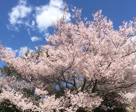 日常の小さなことから人生相談。幅広く相談に乗ります 最近うまくいかないな、自分を変えたいと思っているあなたへ イメージ1