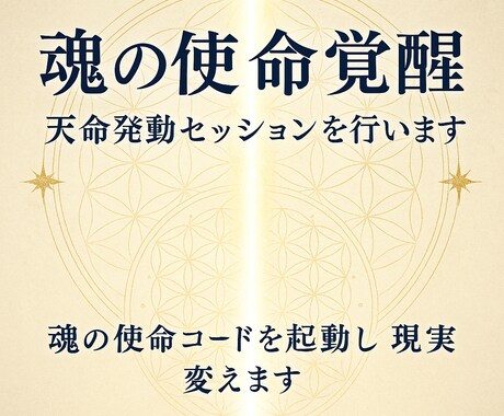 魂の使命覚醒　天命発動セッションを行います 使命コードを完全起動し天命に沿った現実を開きます イメージ2