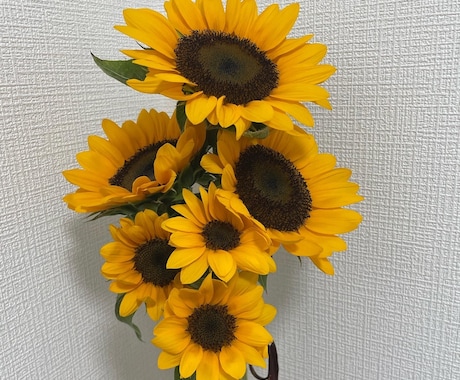 あなたの悩みに寄り添う精神科看護師が電話相談します 悩みから雑談まで、精神科看護師があなたに寄り添います イメージ1