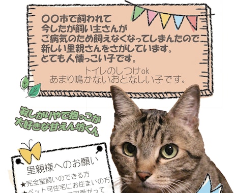 里親募集のチラシを作ります 見やすいチラシで素敵な里親さん探しのお手伝いをします イメージ2