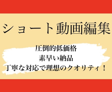 ショート動画編集承ります 圧倒的低価格素早い納品丁寧な対応で理想のクオリティ イメージ1