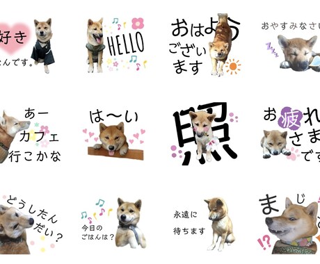 お子さまやペットのLINEスタンプをお作りします 〜時間のない時もこのスタンプひとつで伝わるっ！！〜 イメージ2