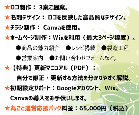 ロゴ・名刺・チラシ・HP作成丸ごとパック販売します 初心者でも自分で修正～運用ができます！ イメージ2