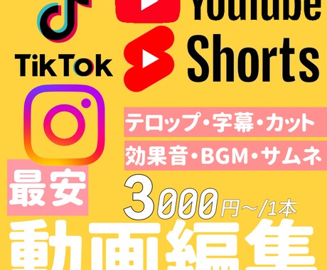SNS動画、ショートのテロップ入れ、カット承ります YouTube(short)等のSNS動画の編集を行います。 イメージ1