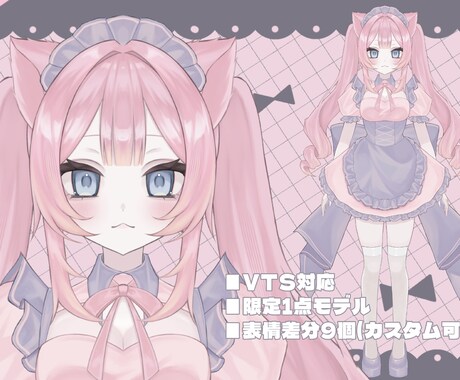 VTS対応！モデリング済モデルを販売します 差分9種付！すぐデビューしませんか？ イメージ1