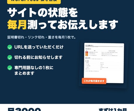 WordPressサイトの保守点検を毎月報告します イメージ1