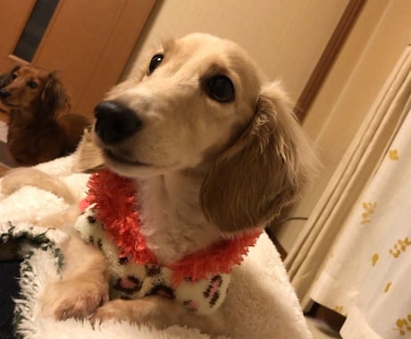 人生や職場などの悩みメンタル相談♡を中心に承ります 悩みを吐き出して一緒に晴れ晴れした気持ちになりましょう。 イメージ1