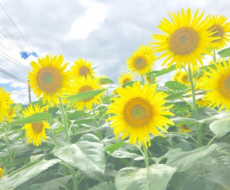 どんなことでも、小さなことでも相談のります いろんなご相談受け溜まってます！愚痴でも◎ イメージ1