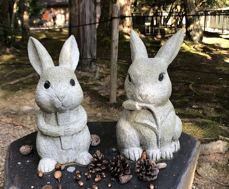 愛しいペットさんの気持ちをあなたにお届けします あなたの大事なペットは何を考えてるのか知りたくありませんか？ イメージ2