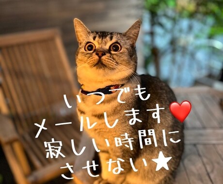 お話しききます イライラはためずに、話せばスッキリ イメージ1