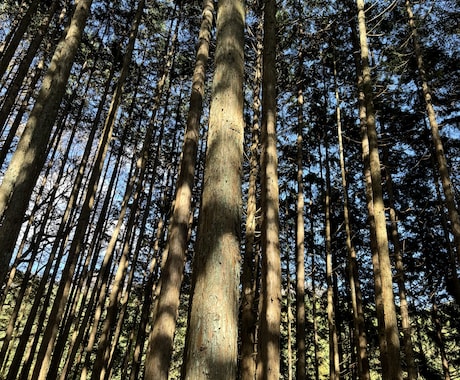 あなたの気持ちをお聞きします 一人で抱え続けるのが辛い気持ちは人に話すと少し楽になります。 イメージ2