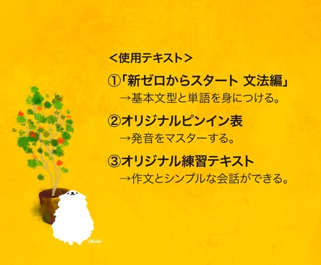 STEP1　中国語初級文法＋日常会話が学べます HSK3級レベル、京都で宿を営むネイティブ講師。講師歴8年 イメージ2