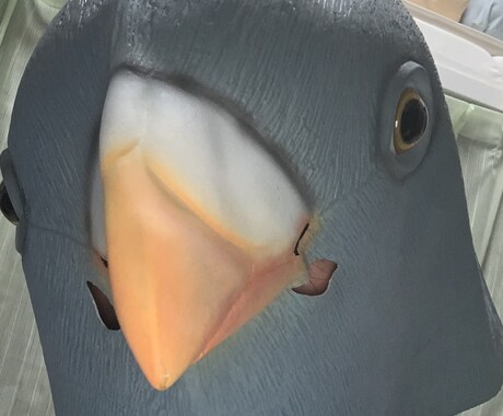 どんな事でも必ず真剣にお聞きいたします 色々な経験を活かし何事にも理解を試み、意見を述べます。 イメージ1