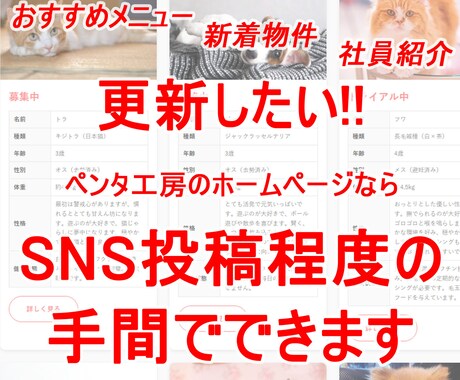 ご自分で更新できるホームページを制作します 業種別サンプルサイトでデザイン・機能を確認 その後に契約 イメージ1