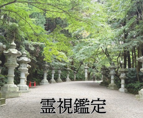 霊視鑑定します 霊感・霊視・霊聴で寄り添いながら紐解きお伝えします イメージ1