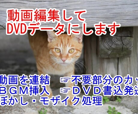 撮影した動画を１本に編集してDVDデータにします 動画を【連結】【カット】【BGM挿入】【DVD書込】します イメージ1