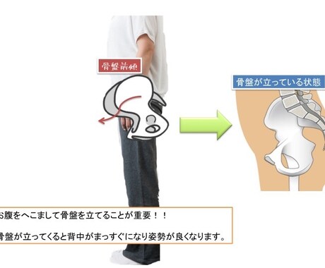 ねこ背気になりませんか？プロがアドバイスします ねこ背を理解しエクササイズで綺麗な姿勢に！vol.3 イメージ2