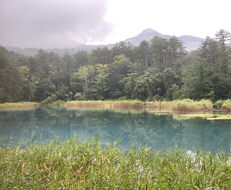 話を聞いて欲しい、背中を押して欲しい等お話聞きます カウンセリング資格あり、気楽になれるアドバイスも イメージ1