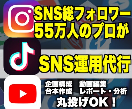 SNSのプロがあなたのSNSアカウントを運用します 採用単価を10万円に！フォロワー100万人がサポート！ イメージ1