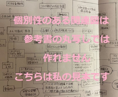 看護学生の実習記録 行動計画書 看護過程応援します 現役の看護教員が丁寧に添削・指導します