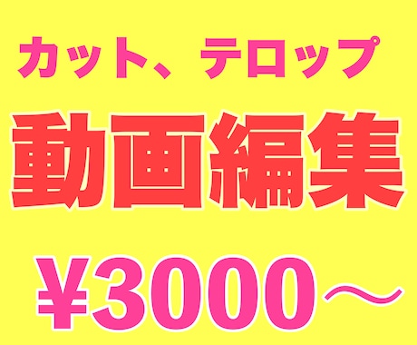 初心者向け動画編集します カットやテロップ入れなど基本の編集をします！ イメージ1