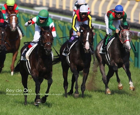 中央競馬・究極の馬券術教えます 中央競馬で少額投資で高配当をゲットする方法を教示します。 イメージ1