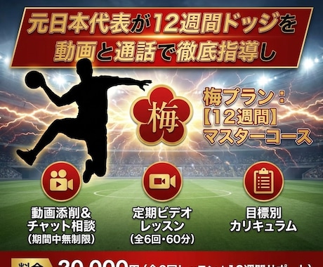 元日本代表が12週間ドッジを通話と動画で指導します 12週間でエースへ！元日本代表による完全マンツーマン指導 イメージ1