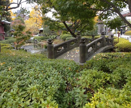 茶道を始めたい方、最初の一歩までの不安を解消します 流派に所属していないのでタブーなしで答えます イメージ1