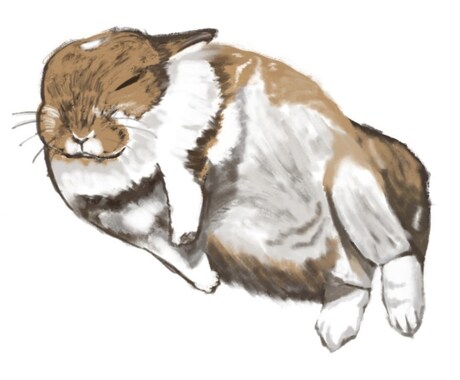 動物のイラストを描きます 愛嬌を誇張した、リアル寄りのペットイラストが得意です。 イメージ2