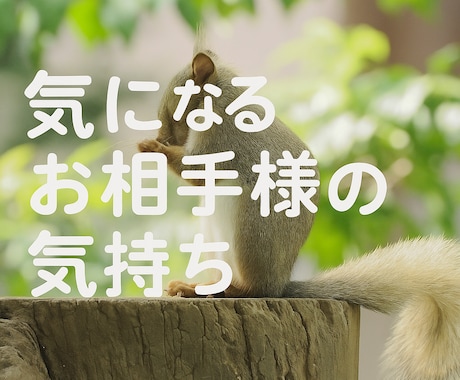 どうしても気になるお相手様の気持ちや相性を占います 本当はどう思っているの？とにかく気になる❕知りたい❗本音を❗ イメージ1