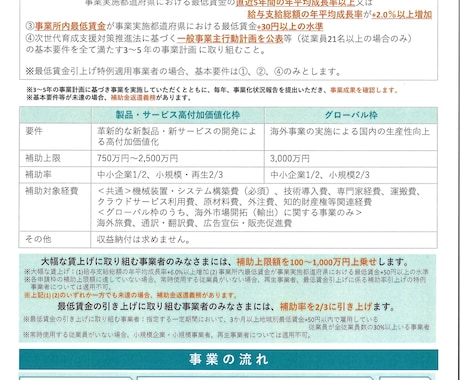 ものづくり補助金の採択事業計画書を提供いたします 補助金でドローンを導入し新しいサービスを行う事業測量事業者 イメージ2