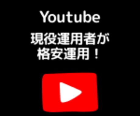 Youtube広告運用をします 視聴数UP/チャンネル登録数増 イメージ1
