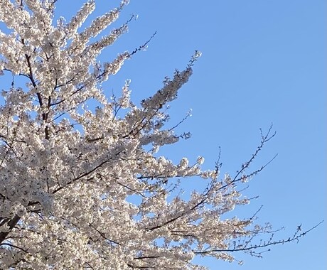 お話し聞きます ☆難しいことはわからないけど、とにかく話してみませんか？ イメージ2