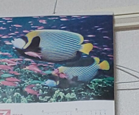 保険の相談聞きます イメージ1