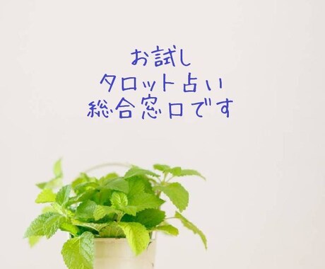 タロットで恋愛・お仕事の現状を占います しっかりと、現状を視ていきませんか？？ イメージ2