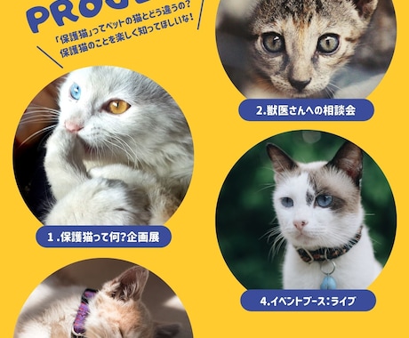 ポスター　チラシつくります おしゃれでシンプルで目につくものを作ります。 イメージ2