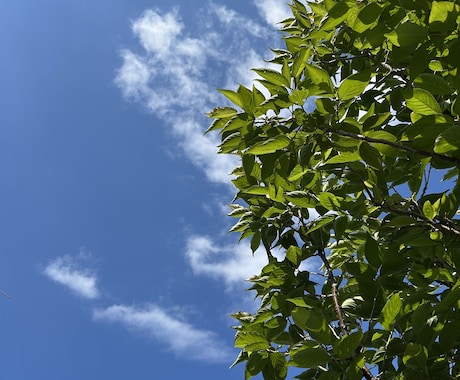 雑談しませんか　まってます 誰にも言えない気持ちやさしく受け止めます イメージ1