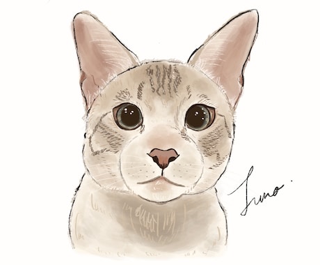 猫ちゃんのイラストをふんわり可愛いくお描きします Cat Portrait Illustration イメージ1