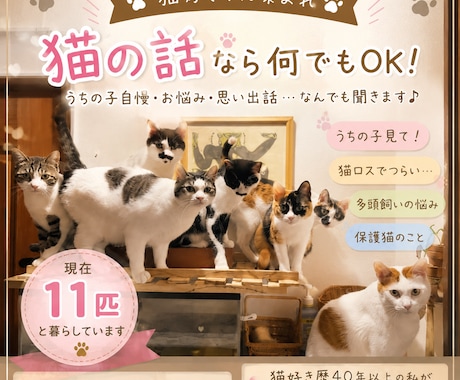 猫好きさん集まれ♪うちの子自慢聞きます うちの子自慢大歓迎です♪現在11匹の猫たちと暮らしています イメージ1